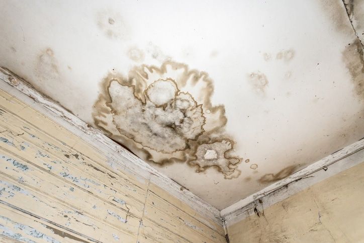 Mold spots on the ceiling or wall